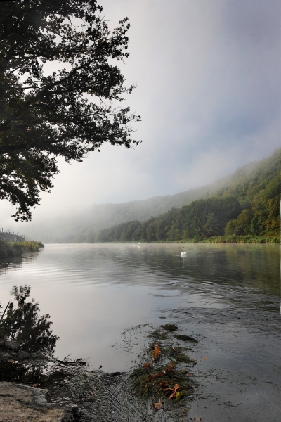 070923 MEUSE 14825 01P.jpg